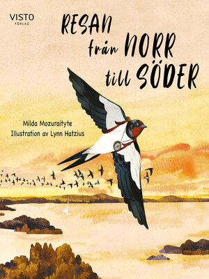 cover image of Resan från norr till söder